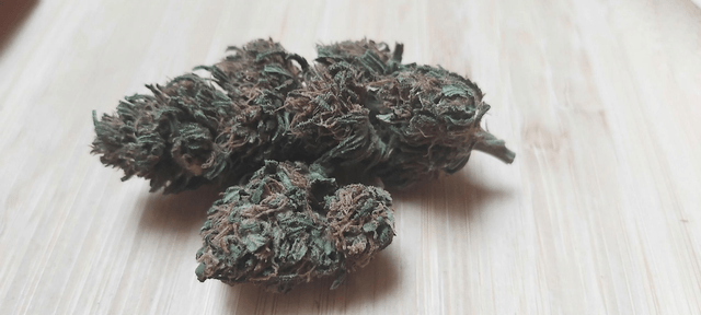 Fleurs CBD Arizona Dream 